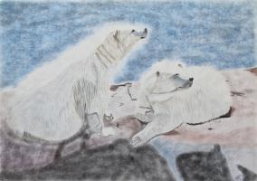 Des ours polaires sur la banquise