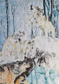 Les sept loups de la forêt en neige