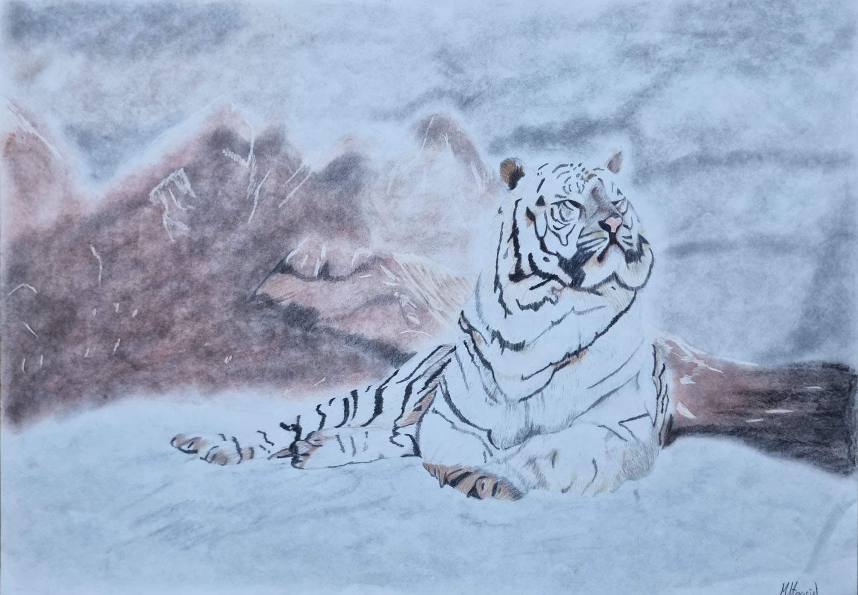 La montagne du tigre blanc